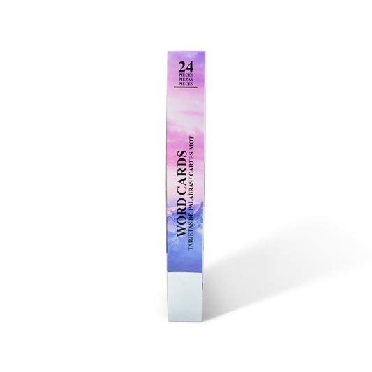 Disney Frozen Educational Flash Word Cards – 24 Pieces