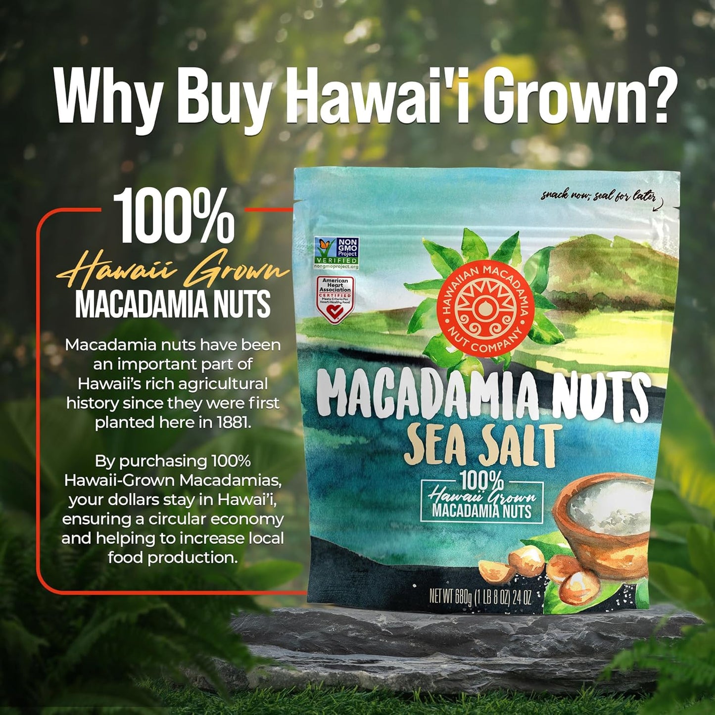 Hawaiian Sea Salt Macadamia Nuts - Resealable Pouch